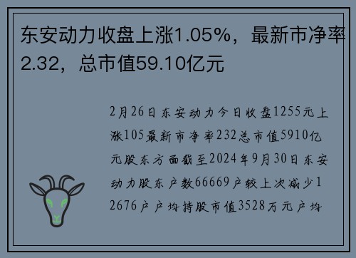 东安动力收盘上涨1.05%，最新市净率2.32，总市值59.10亿元