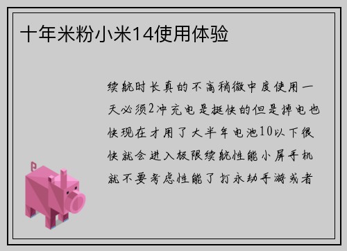 十年米粉小米14使用体验