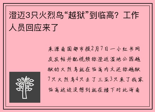 澄迈3只火烈鸟“越狱”到临高？工作人员回应来了