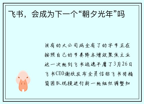 飞书，会成为下一个“朝夕光年”吗