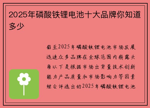 2025年磷酸铁锂电池十大品牌你知道多少