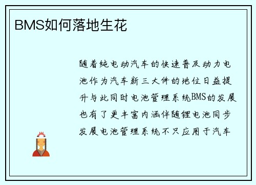 BMS如何落地生花
