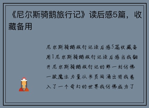 《尼尔斯骑鹅旅行记》读后感5篇，收藏备用