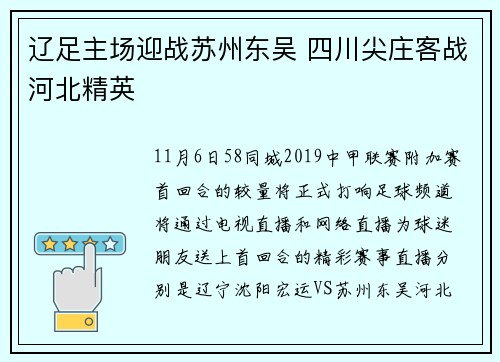 辽足主场迎战苏州东吴 四川尖庄客战河北精英