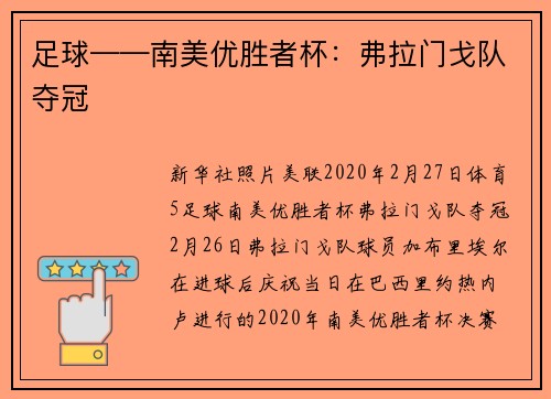足球——南美优胜者杯：弗拉门戈队夺冠